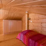 Lomaperkkiö